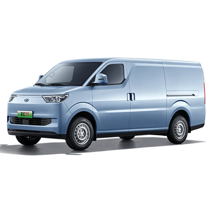 Ruichi EC75 Cargo Van